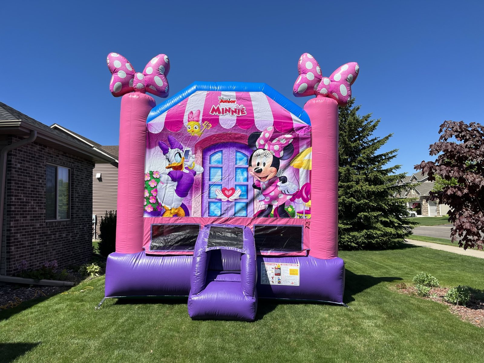 Minnie-themed bounce house set up for a backyard birthday party
